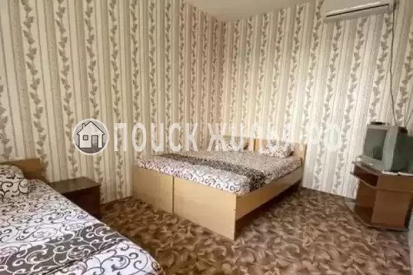 «Шаин» «Шаин»