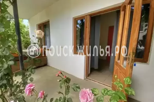 «Шаин» «Шаин»