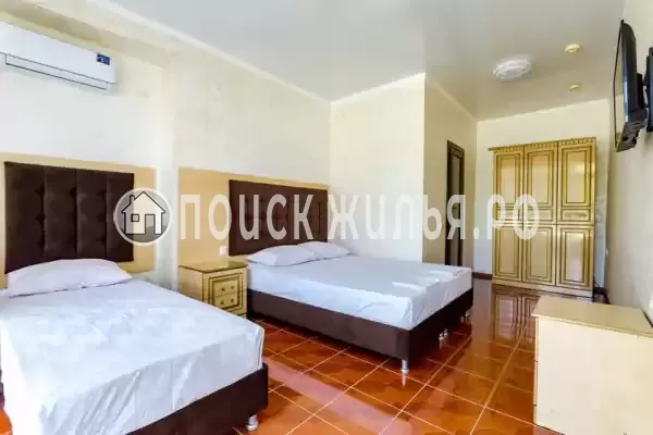 «Дубок» «Дубок»