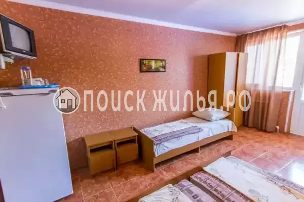 «Лесная сказка» «Лесная сказка»