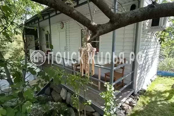 «Бамбуковый рай» «Бамбуковый рай»