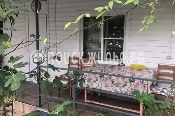 «Бамбуковый рай» «Бамбуковый рай»