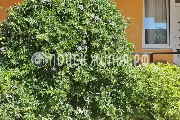 «Джулия» «Джулия»