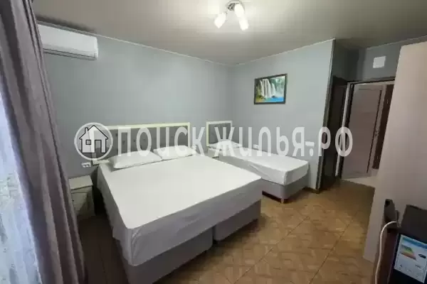 «Морская ласточка»