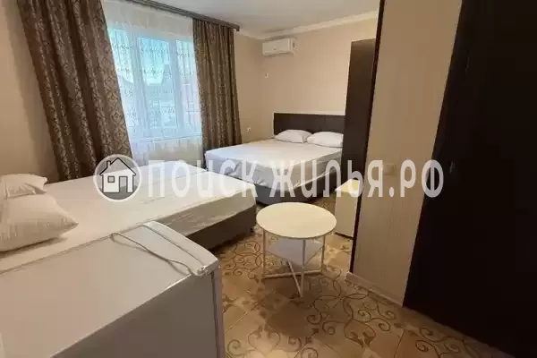 «Морская ласточка»