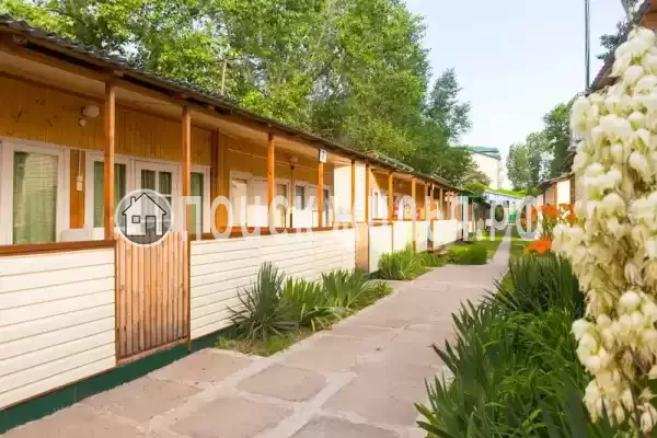 «Белый лебедь» «Белый лебедь»