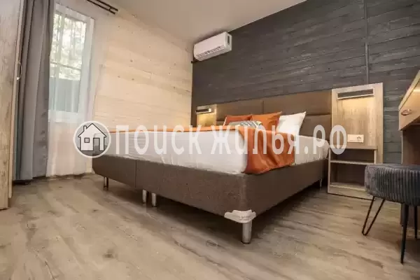 «Дубки» «Дубки»