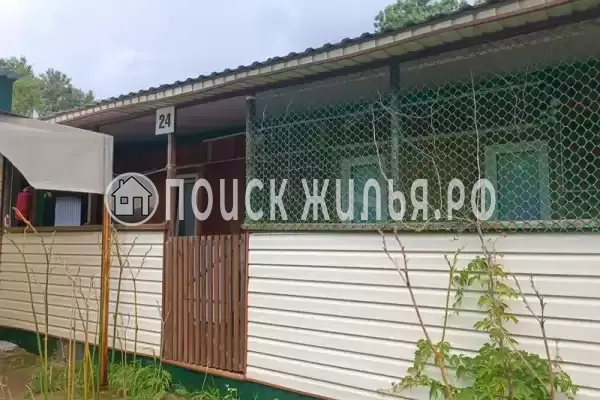 «Белый лебедь» «Белый лебедь»