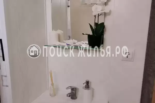 «Алая роза» «Алая роза»