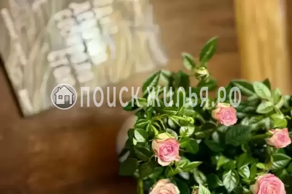 База отдыха «Кокос»