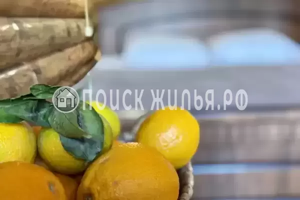 База отдыха «Кокос»