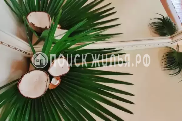 База отдыха «Кокос»