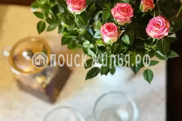 База отдыха «Кокос»