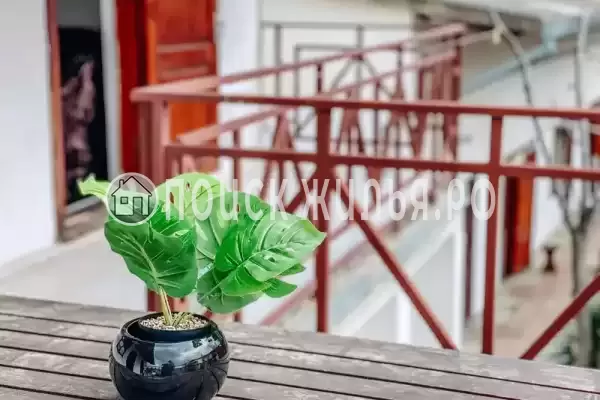 База отдыха «Динамо-2»