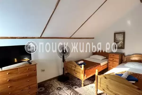 База отдыха «Динамо-1»