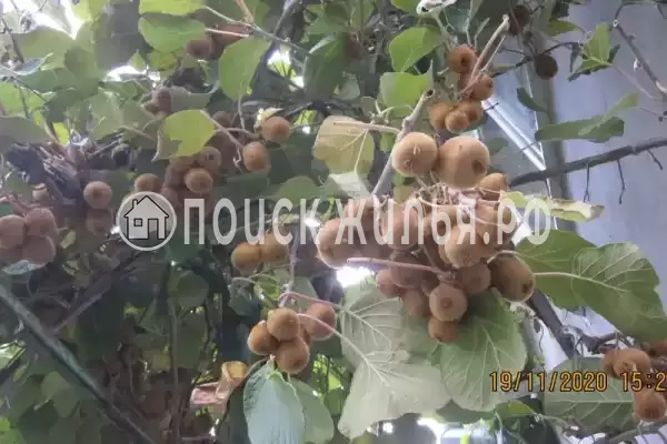 Частный сектор «У моря»