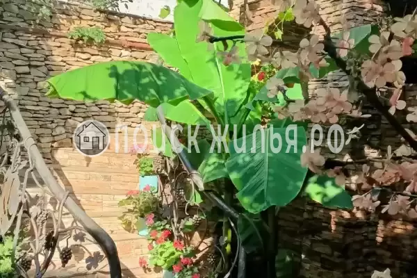 Частный сектор «Доходный дом Маргаритка»