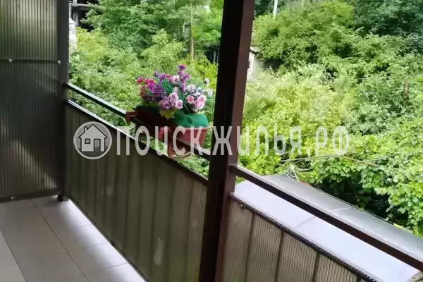 «Афина» «Афина»