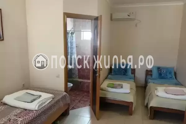 «Сафари» «Сафари»