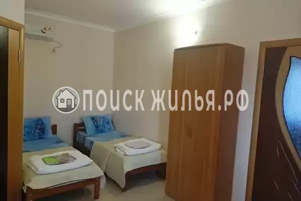 «Сафари» «Сафари»