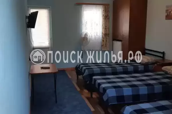 «Орловка» «Орловка»