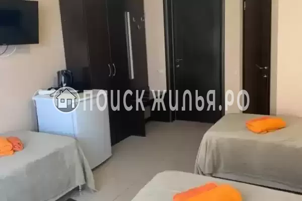 «Приветливый»