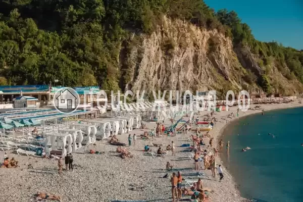 «Премьер» «Премьер»