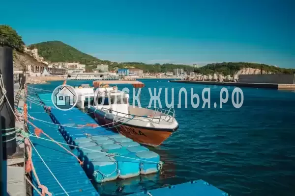 «Премьер» «Премьер»