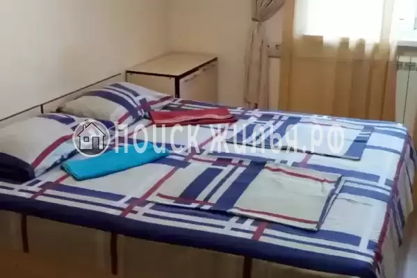 «Дельфин на ленинградской»