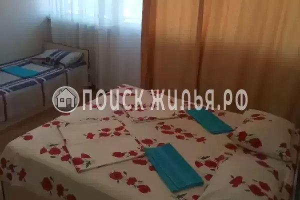 «Дельфин на ленинградской»