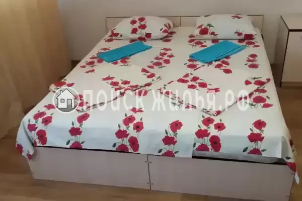 «Дельфин на ленинградской»