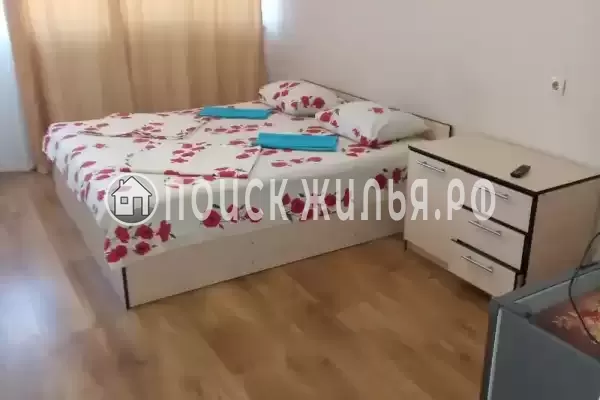 «Дельфин на ленинградской»