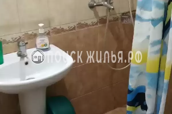 «Дельфин на ленинградской»