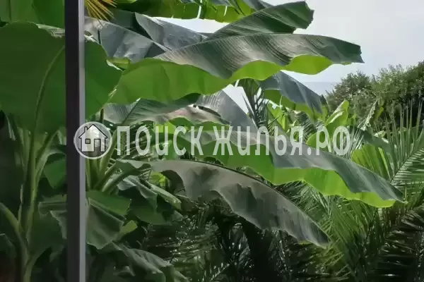 «Морские Сезоны-коттеджи и террасы»