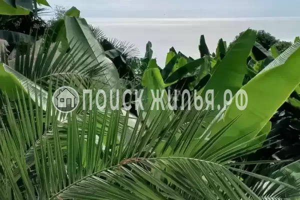 «Морские Сезоны-коттеджи и террасы»