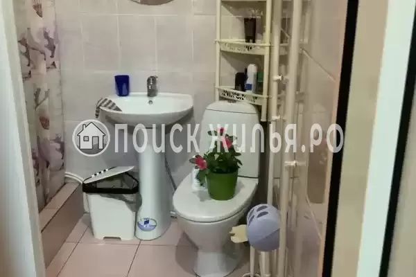 «Александрия» «Александрия»