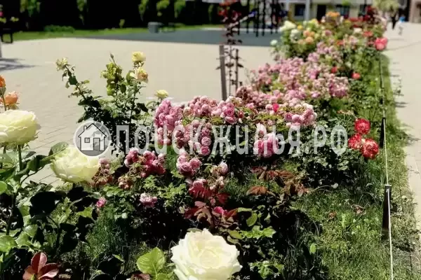 Квартира «С бассейнами»