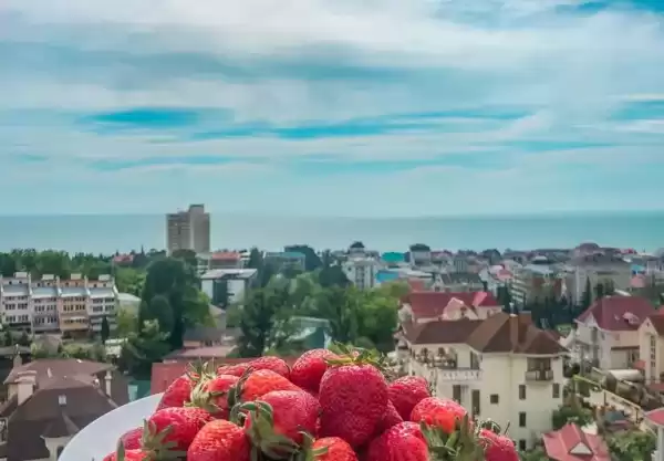 Квартира «В курортном городке» Квартира «В курортном городке»