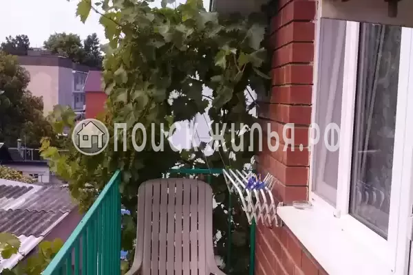 «Под шелковицей»