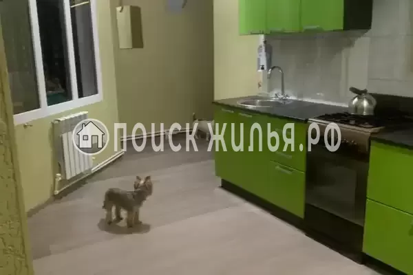 «Под шелковицей»