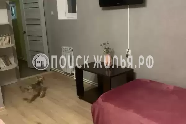 «Под шелковицей»