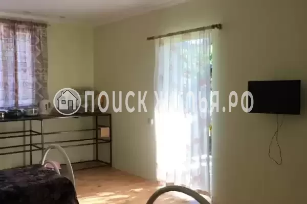 «Кот и овсянка» «Кот и овсянка»