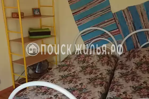 «Кот и овсянка» «Кот и овсянка»