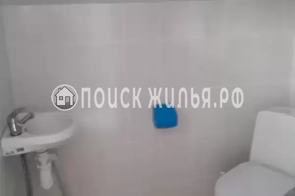 «Кот и овсянка» «Кот и овсянка»