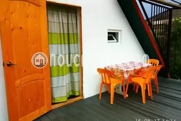 «Кот и овсянка» «Кот и овсянка»