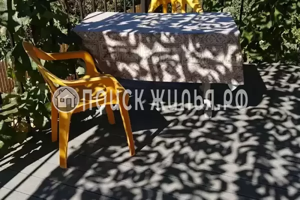 «Кот и овсянка» «Кот и овсянка»