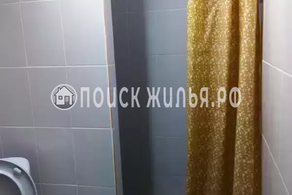 «Кот и овсянка» «Кот и овсянка»