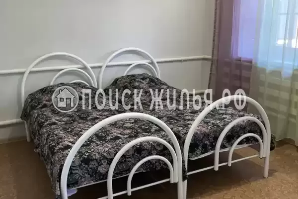 «Кот и овсянка» «Кот и овсянка»