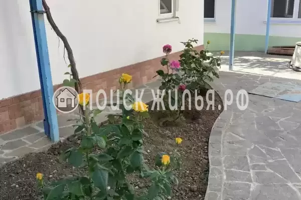 «Кот и овсянка» «Кот и овсянка»