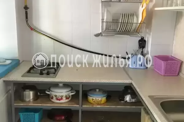 «Кот и овсянка» «Кот и овсянка»